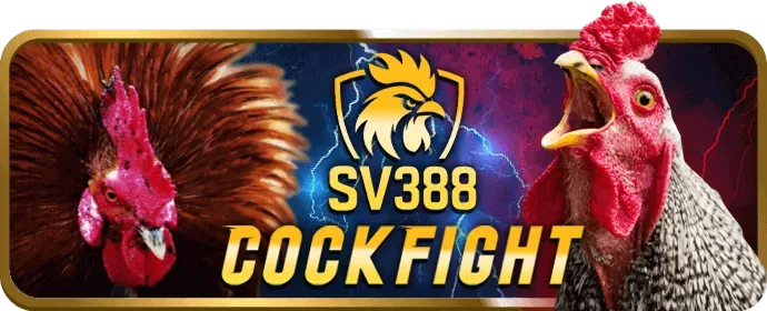 Khuyến mãi và ưu đãi độc quyền Good88 Meme